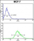 PDK3 Antibody